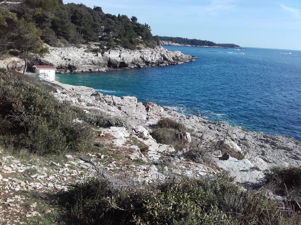 Apartments Demori Galižana Εξωτερικό φωτογραφία
